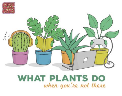 what-plants-do