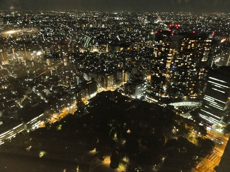 View from the Tokyo Metropolitan Government Building