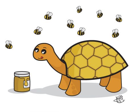 honeycomb_tortoise