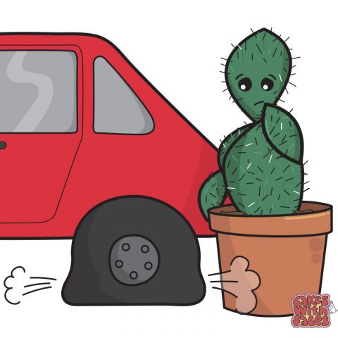 cactus-tyre