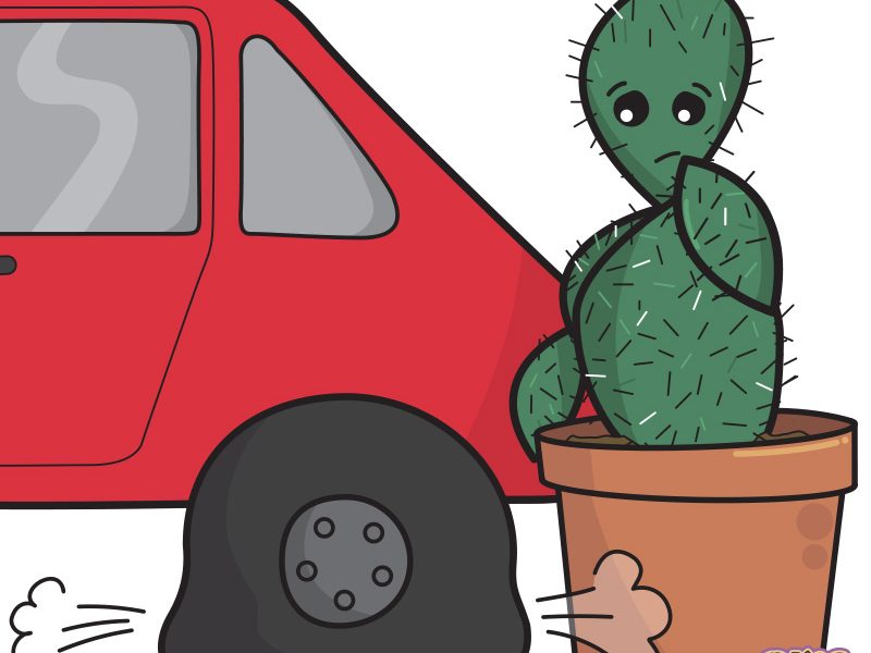 Cactus Comic – Flat Tyre