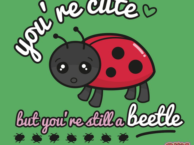 You’re Cute but you’re still a Beetle