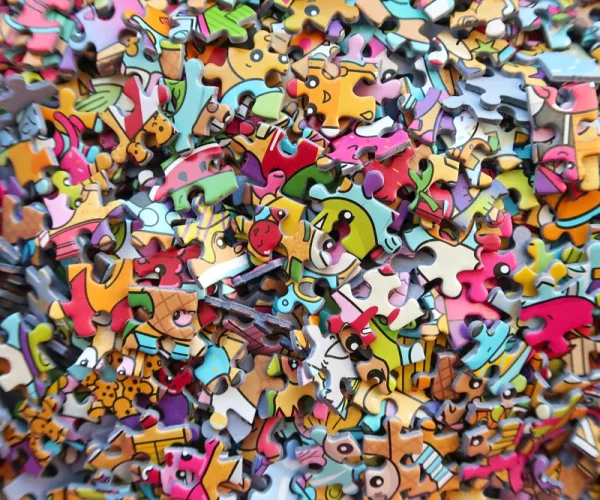 1000 piece jigsaw for adults