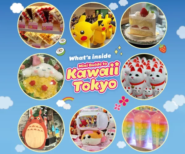 What's in the Kawaii Guide to Tokyo